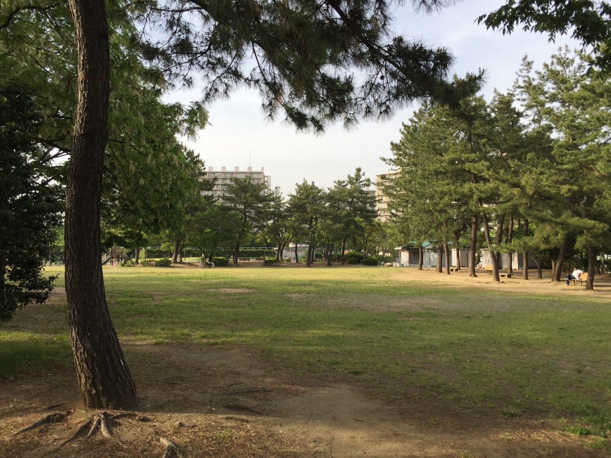 120160508193023.jpg