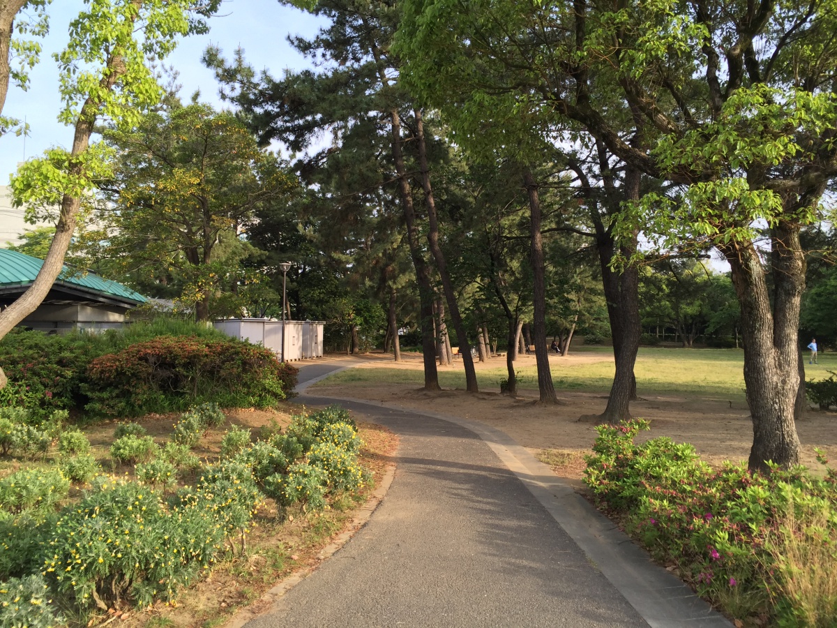 120160508193514.jpg