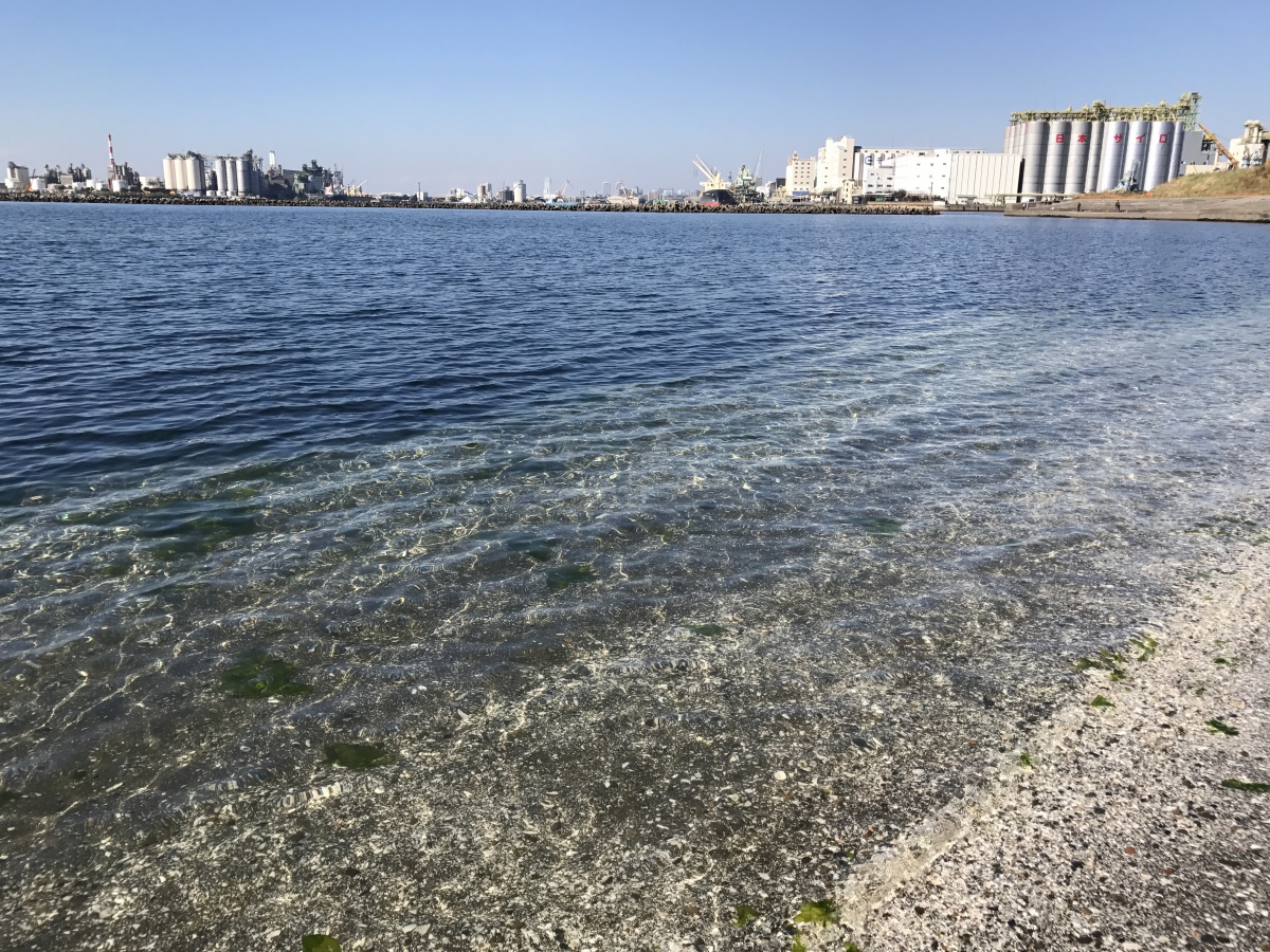 120161103162714.jpg