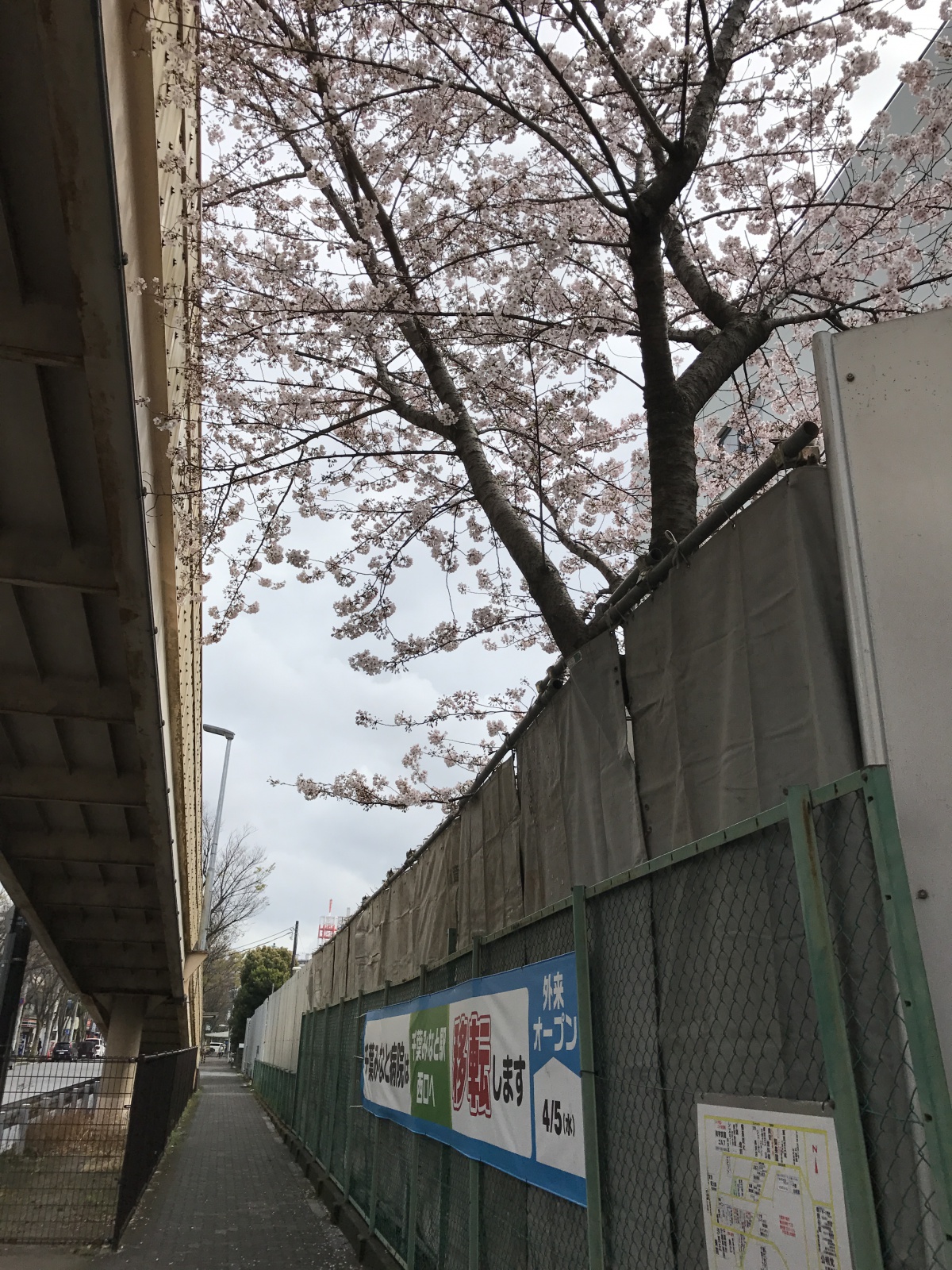 1201704071524081.JPG