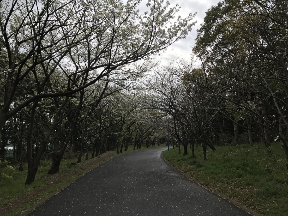 1201704071557021.JPG