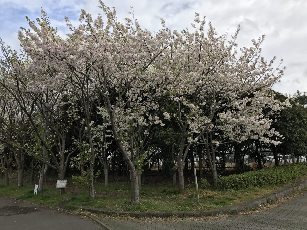 1201704071559590.JPG