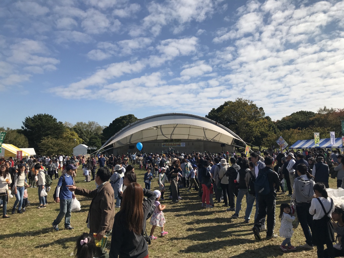 12017110314463810.jpg