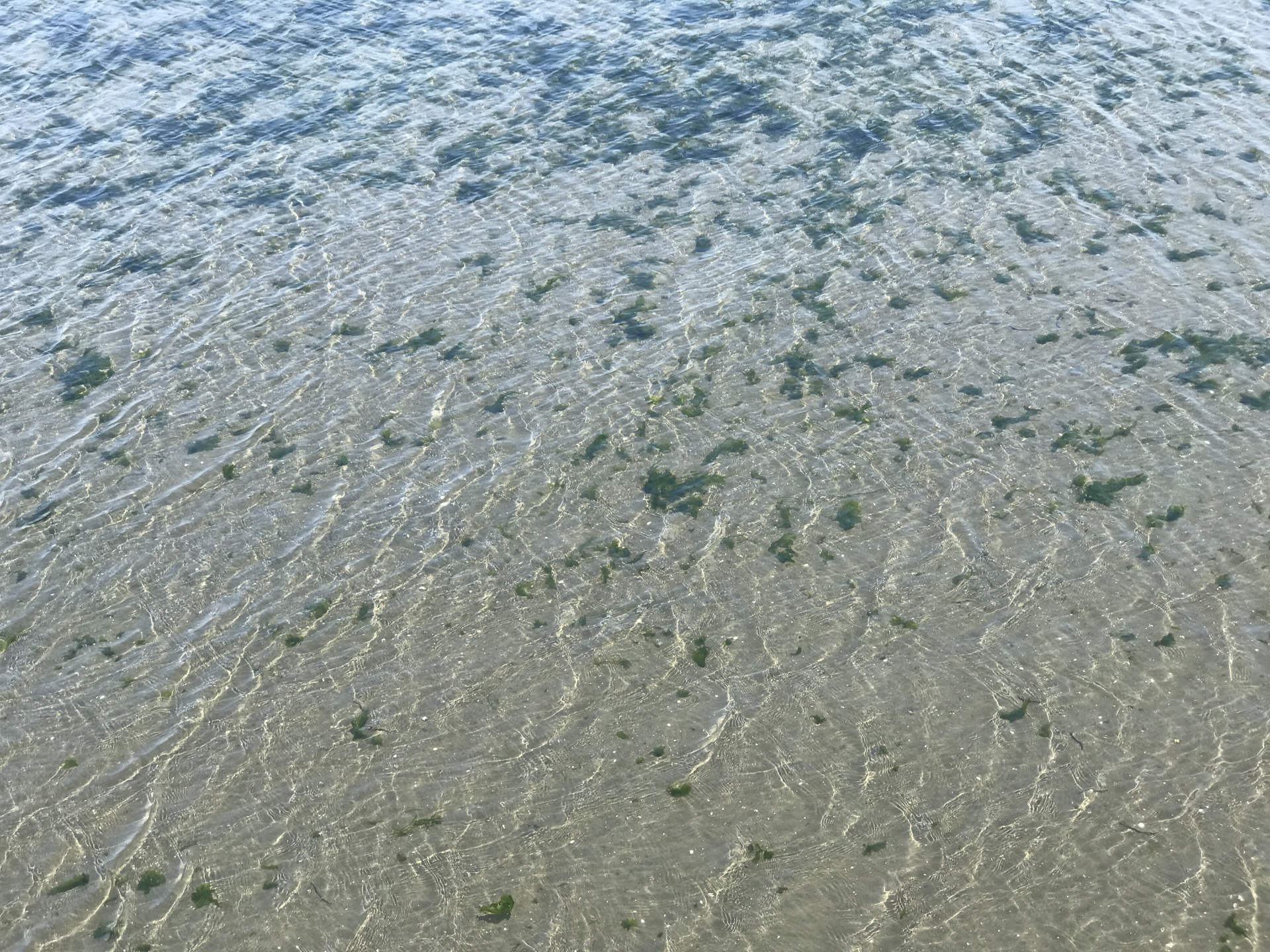 1201808101755455.jpg