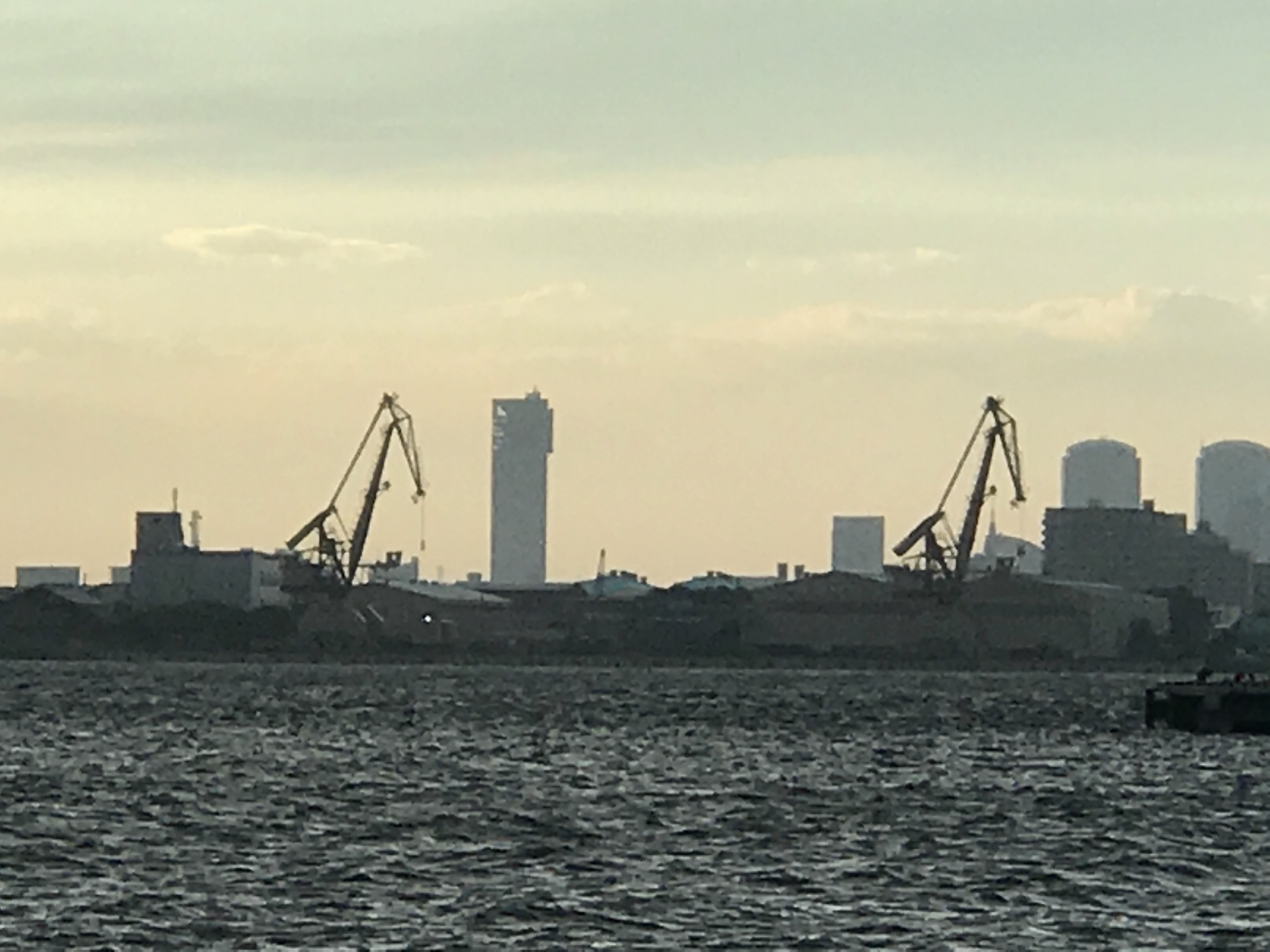 1201808101759428.jpg