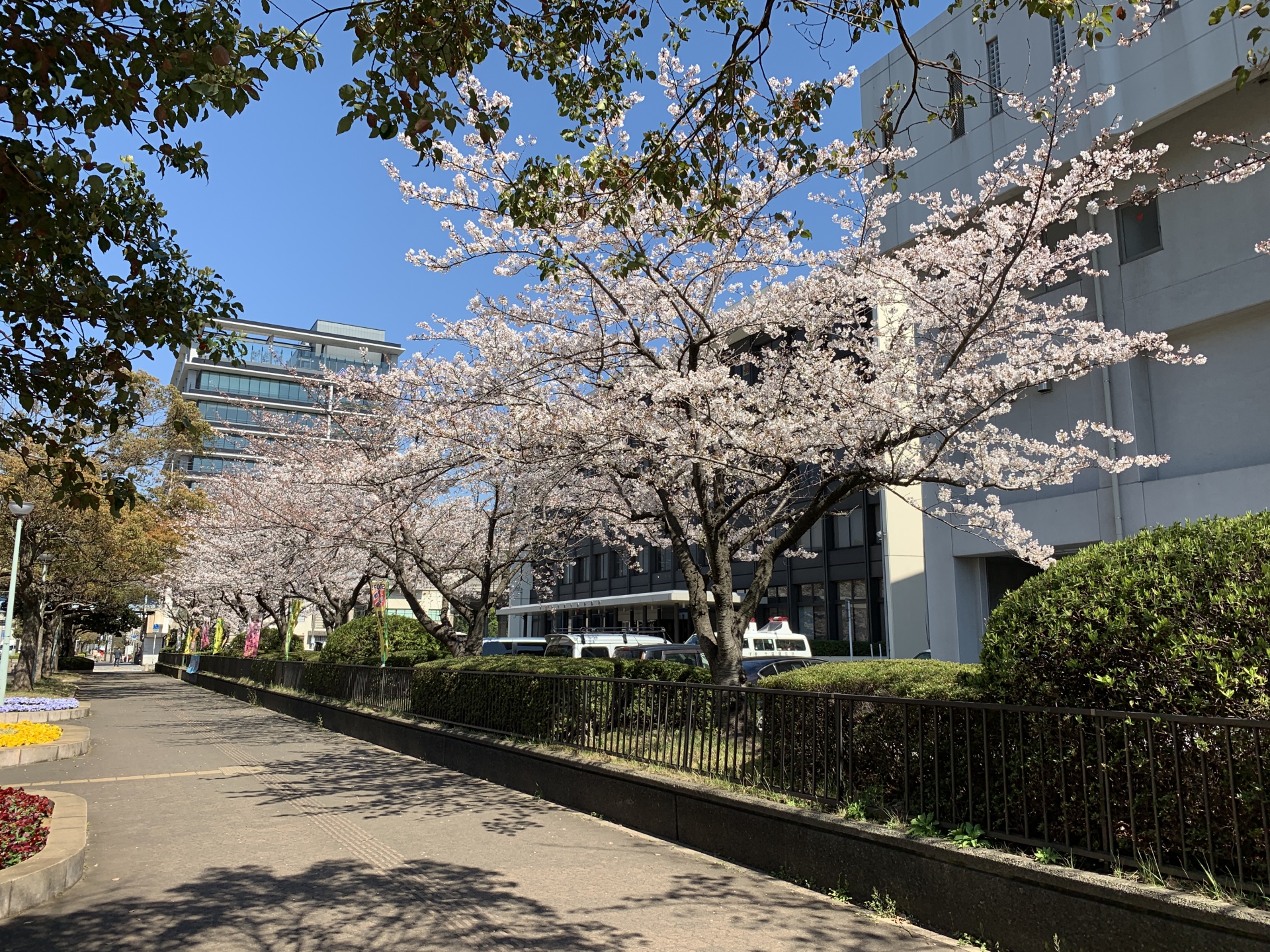 1201904101504223.jpg