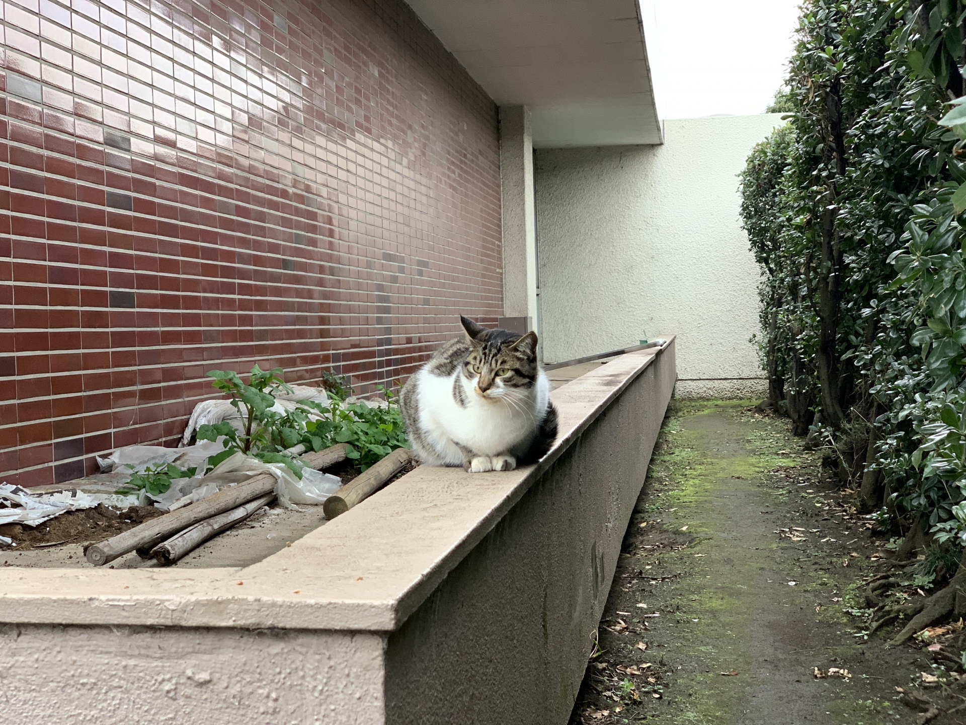 1202001301110041.jpg