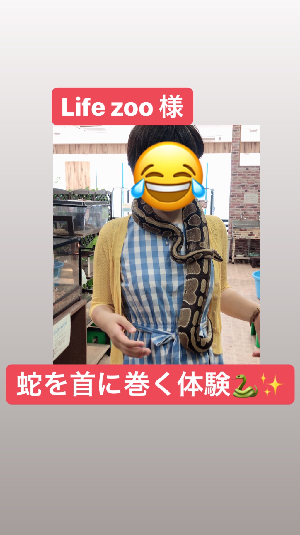 288201907031247052.jpg