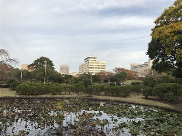 120161121000042.jpg
