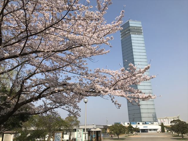 1201803300939301.jpg