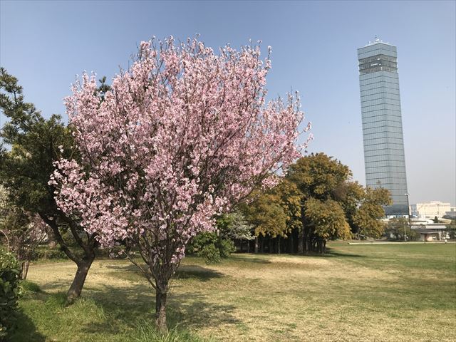 1201803300939304.jpg