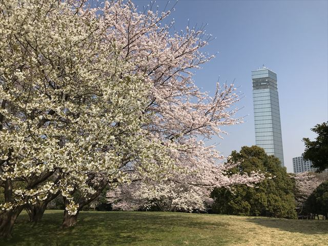 1201803300939307.jpg