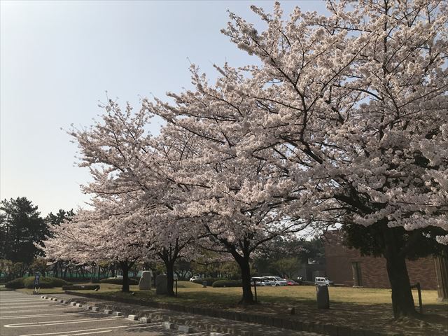 1201803300955007.jpg