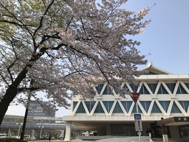 1201803300957183.jpg