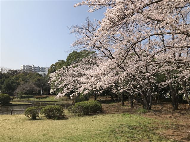 12018033010380110.jpg
