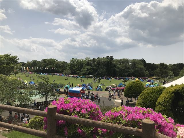 1201805301155426.jpg