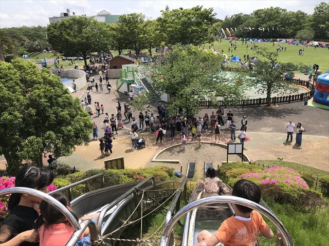 1201805301155427.jpg