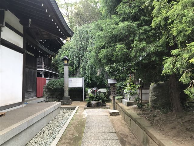 1201806280853370.jpg
