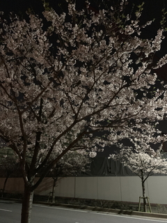 1201904101320350.jpg