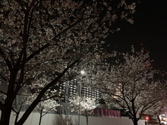 1201904101320352.jpg