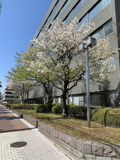 1201904101504220.jpg