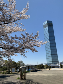 1201904102347093.jpg