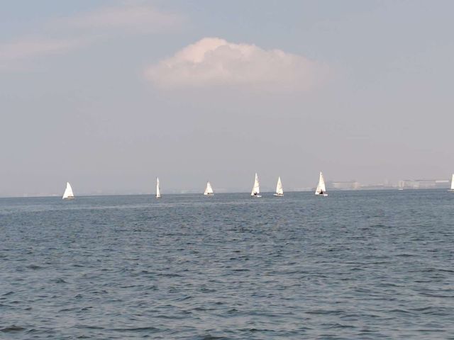 2245202607271545500.jpg