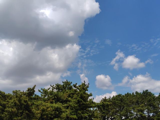 2245202608091326084.jpg