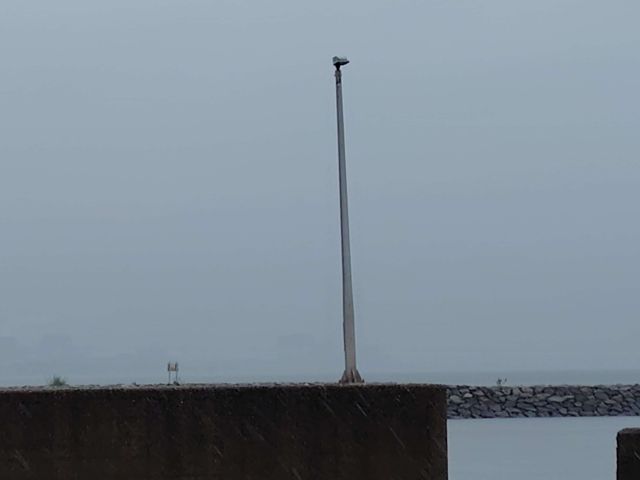 2245202609200927270.jpg