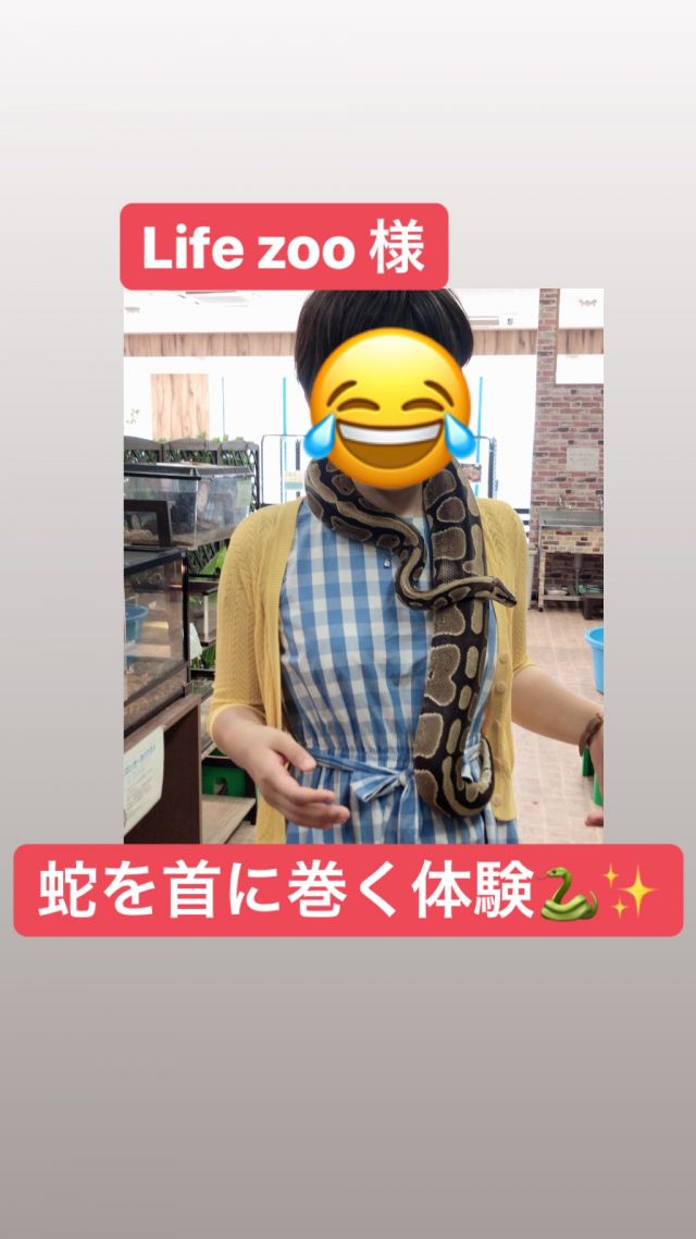 288201907031247052.jpg