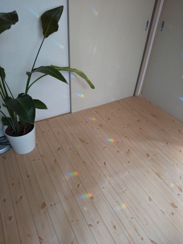 320201907030945020.jpg