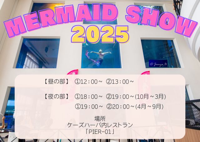 391202503051405510.png