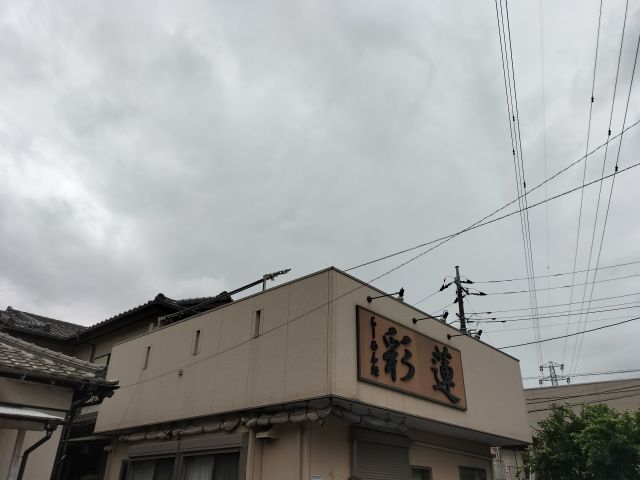 483202503231031033.jpg