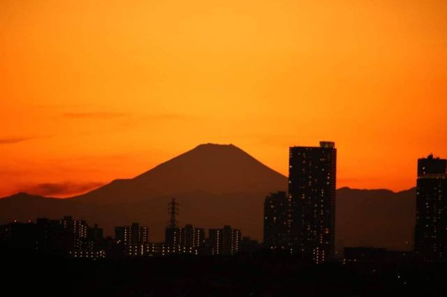 はむの秘密基地